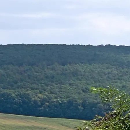 Hájenka U Družůvek - Moravské Toskánsko Zeletice